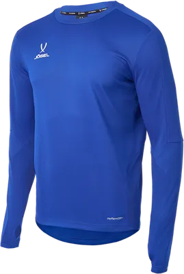 Лонгслив спортивный Jogel Division PerFormDRY Pro Training Top (синий, M)