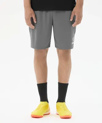Шорты спортивные Jogel Premier PerFormDRY Training Shorts (темно-серый 93, M)