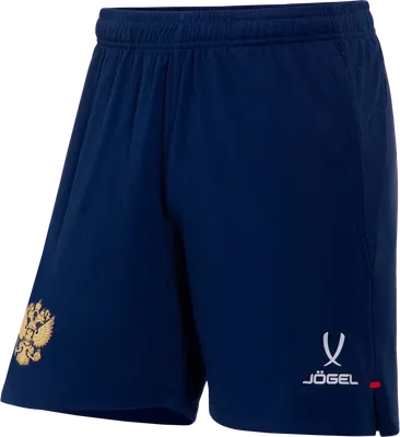 Шорты спортивные Jogel National PerFormDRY Training Shorts (темно-синий, M)