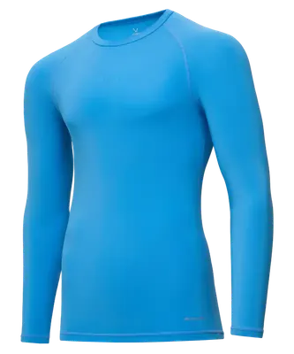Лонгслив спортивный Jogel PerFormDRY Baselayer LS Tee (голубой, M)