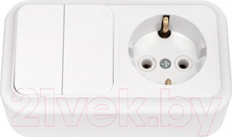 Блок выключатель+розетка Bylectrica Пралеска 2В-РЦ-529 / 210094