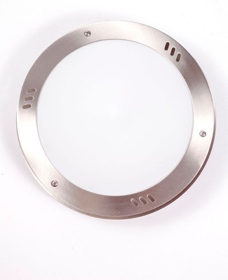 Светильник уличный Oasis Light 77809 SS