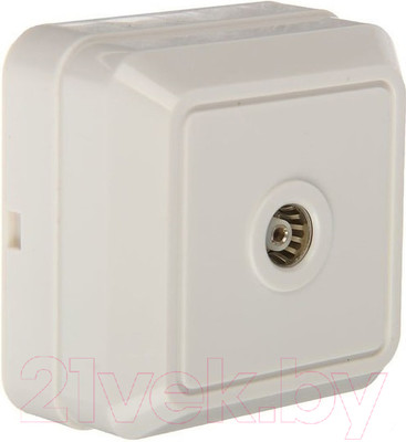 Розетка TDM Ладога / SQ1801-0025