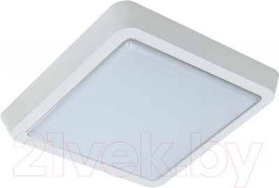 Светильник для подсобных помещений Leek LE LED BK SL 10W 6000K QS / LE 061200-161