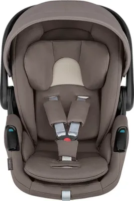 Автокресло Inglesina Darwin Infant Recline Evo / AV62T0ESM (Essence Mokka)