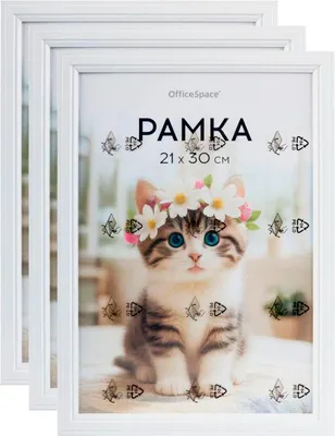 Набор рамок OfficeSpace FPmdf_67165 (3шт, белый)