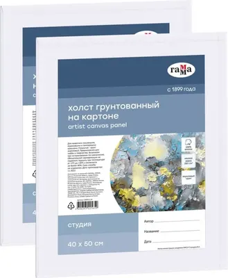 Набор холстов для рисования ГАММА Студия / 210923_24050 (2шт)