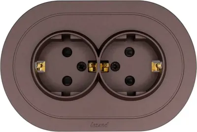 Розетка Lezard Osen 744-7300-127BPCH
