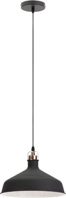 Потолочный светильник ЭРА PL2 BK/RC / Б0037413