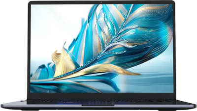 Ноутбук Ninkear N16 Pro Windows 11 Pro / NKLPN16PROYF241024