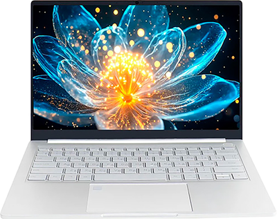 Ноутбук Ninkear S14 Windows 11 Pro / NKLPS14YF6616512