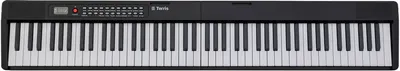 Синтезатор Terris TK-440 BK