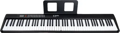 Синтезатор Terris TK-440 Pack