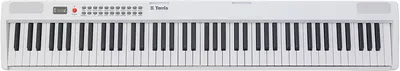 Синтезатор Terris TK-440 WH