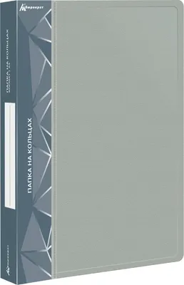 Папка для бумаг Бюрократ 0827/2RGREY (серый)