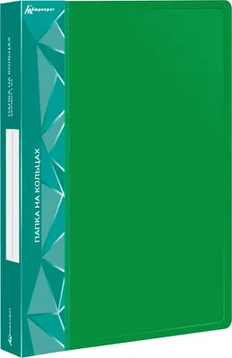 Папка для бумаг Бюрократ 0840/2DGRN (зеленый)