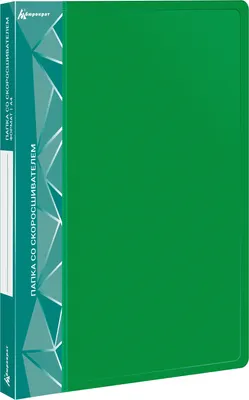 Папка для бумаг Бюрократ PZ07PGREEN