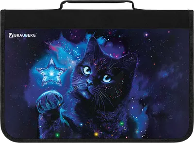 Папка для труда Brauberg Star Cat / 274475