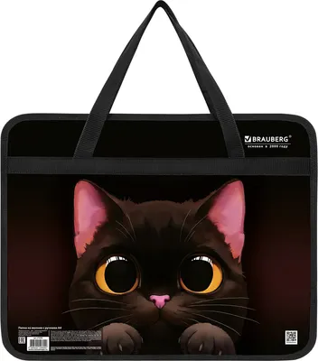 Папка-портфель Brauberg Big Black Cat / 274495