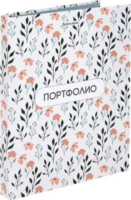 Папка для детских рисунков Brauberg Flowers / 117556
