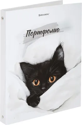 Папка для детских рисунков Brauberg Cat / 107557