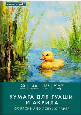Набор бумаги для рисования Brauberg Уточка / 117732 (20л)