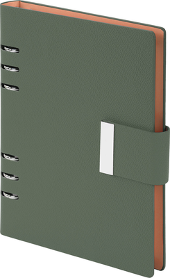 Ежедневник Brauberg Lux / 116858 (100л, зеленый)