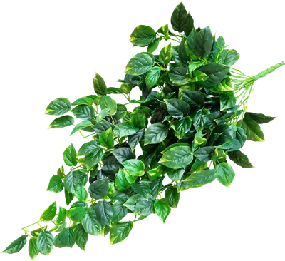 Искусственная ветка ForGarden Pothos / BN11277