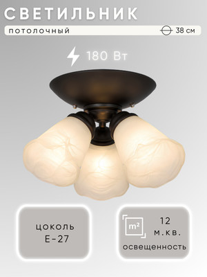 Люстра Aitin-Pro НПБ 02-3x60-102 / 7009/3B (черный)