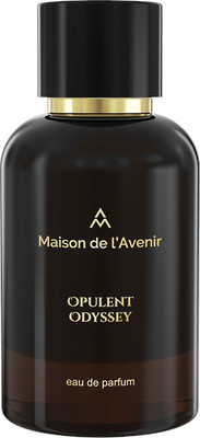 Парфюмерная вода Maison De L'avenir Opulent Odyssey (100мл)