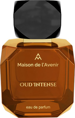 Парфюмерная вода Maison De L'avenir Oud Intense (100мл)