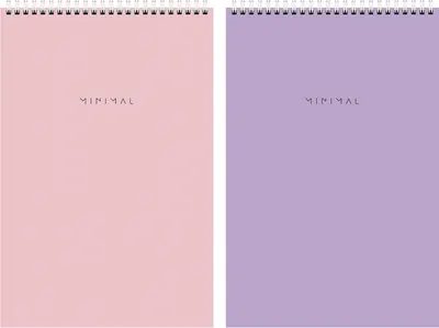 Набор блокнотов Brauberg Minimal Pastel / 116453 (2шт, 80л)