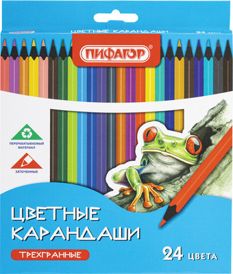 Набор цветных карандашей Пифагор Стандарт / 182088 (24цв)