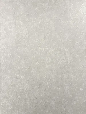Виниловые обои DecoStyle Вэрди 60370-12 (1.06x10.05м)