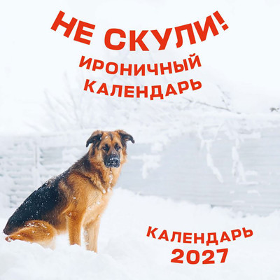 Календарь настенный Эксмо Не скули. 2027 год (9785042471971)