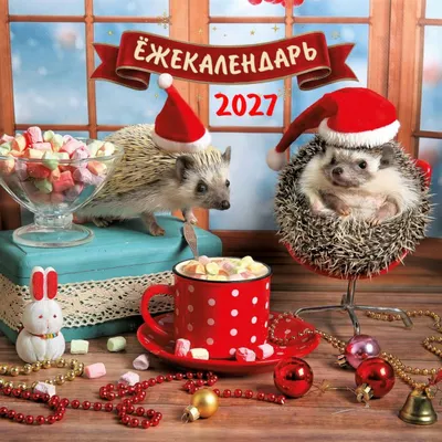 Календарь настенный Эксмо Ежекалендарь. Какао с маршмеллоу. 2027 год (Еремина Е. 9785042399558)