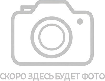 Детский велосипед Avenger DISK 20 / A201D-BL/SL(25) (11, синий/серебристый)
