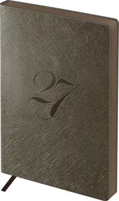 Ежедневник BG Shine. Dune 2027г / DdА6+_68164 (176л, коричневый/зеленый)