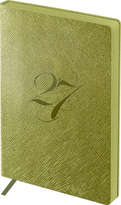 Ежедневник BG Shine. Olive 2027г / DdА6+_68161 (176л, светло-зеленый)