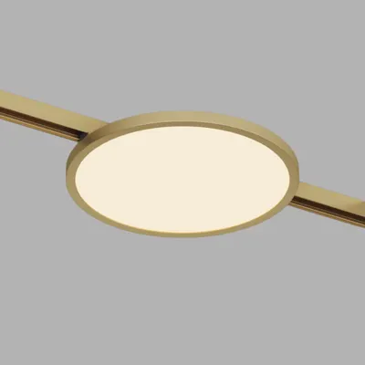 Трековый светильник Denkirs Shine Flow DK5763-SB