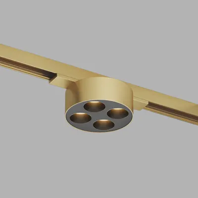 Трековый светильник Denkirs Shine Grill DK5772-SB