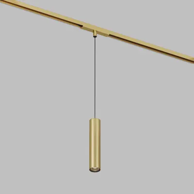 Трековый светильник Denkirs Shine Spot DK5744-SB