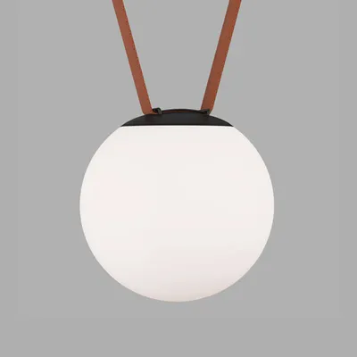 Трековый светильник Denkirs Belty Orb DK5552-BK