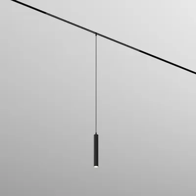 Трековый светильник Denkirs Simple Spot DK8108-BK