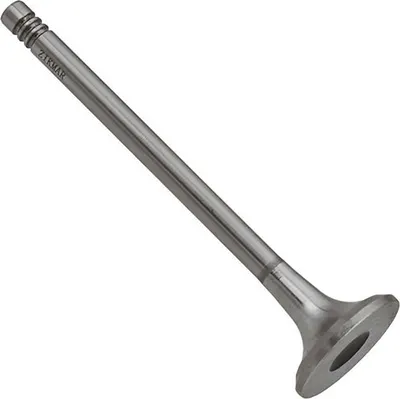 Выпускной клапан двигателя Zikmar Z17446R