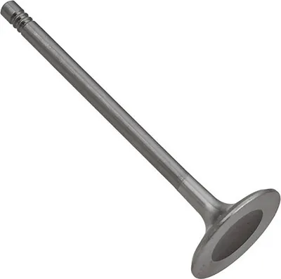 Впускной клапан двигателя Zikmar Z17469R