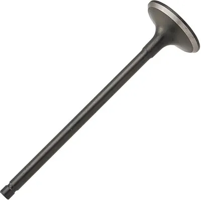 Выпускной клапан двигателя Zikmar Z17536R
