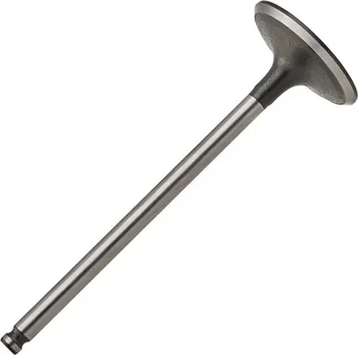 Впускной клапан двигателя Zikmar Z17561R