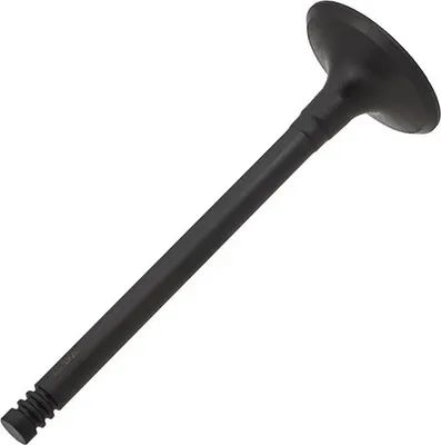 Впускной клапан двигателя Zikmar Z17567R