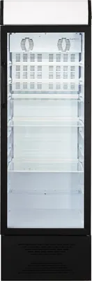 Торговый холодильник Бирюса B310PN